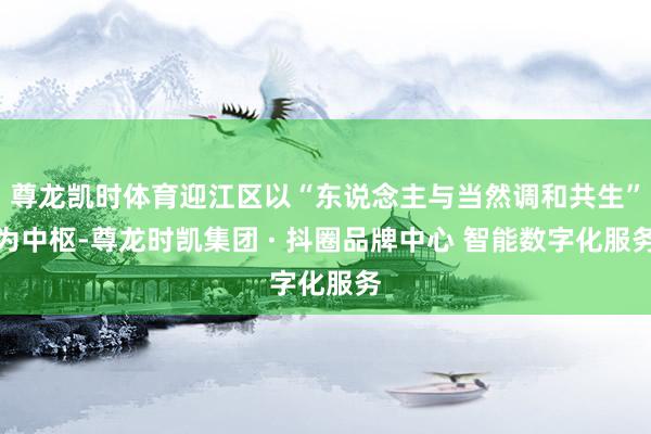 尊龙凯时体育迎江区以“东说念主与当然调和共生”为中枢-尊龙时凯集团 · 抖圈品牌中心 智能数字化服务