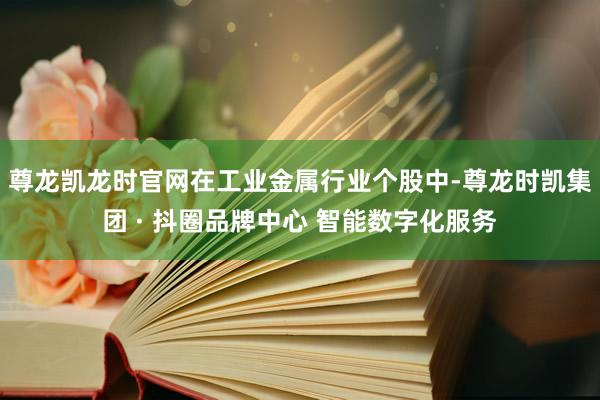 尊龙凯龙时官网 在工业金属行业个股中-尊龙时凯集团 · 抖圈品牌中心 智能数字化服务