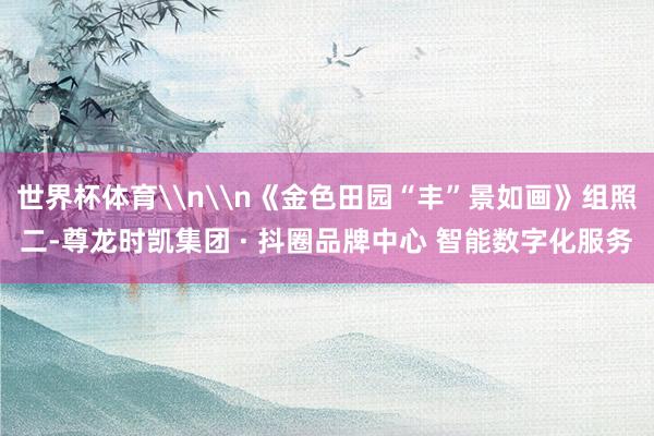 世界杯体育\n\n《金色田园“丰”景如画》组照二-尊龙时凯集团 · 抖圈品牌中心 智能数字化服务