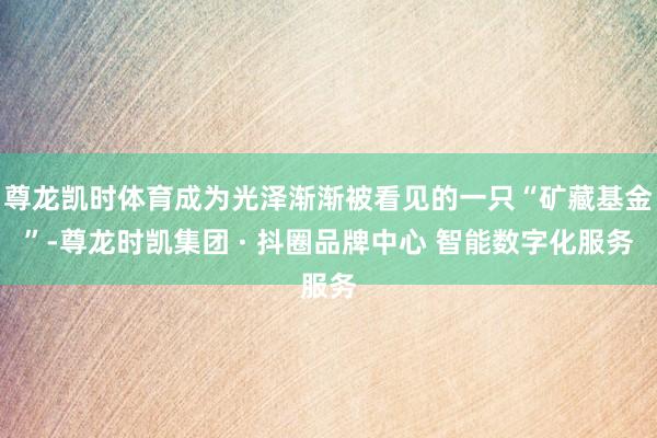 尊龙凯时体育成为光泽渐渐被看见的一只“矿藏基金”-尊龙时凯集团 · 抖圈品牌中心 智能数字化服务