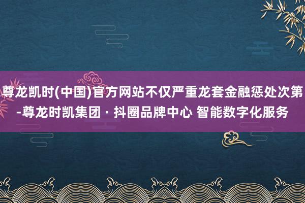 尊龙凯时(中国)官方网站不仅严重龙套金融惩处次第-尊龙时凯集团 · 抖圈品牌中心 智能数字化服务