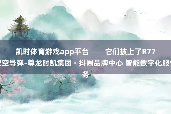 凯时体育游戏app平台        它们披上了R77空空导