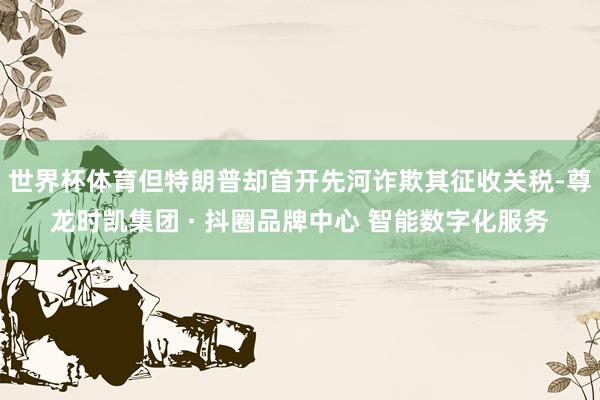 世界杯体育但特朗普却首开先河诈欺其征收关税-尊龙时凯集团 ·