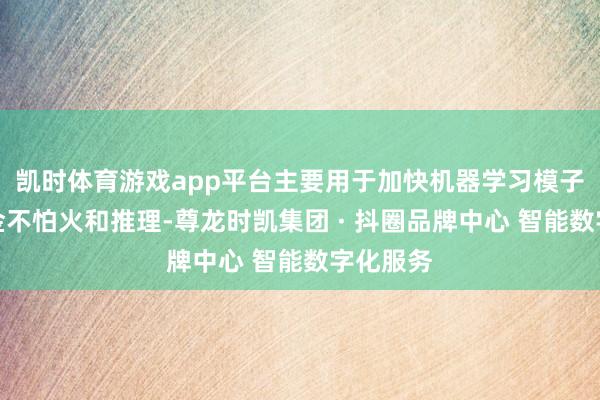 凯时体育游戏app平台主要用于加快机器学习模子的磨真金不怕火