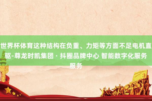 世界杯体育这种结构在负重、力矩等方面不足电机直驱-尊龙时凯集