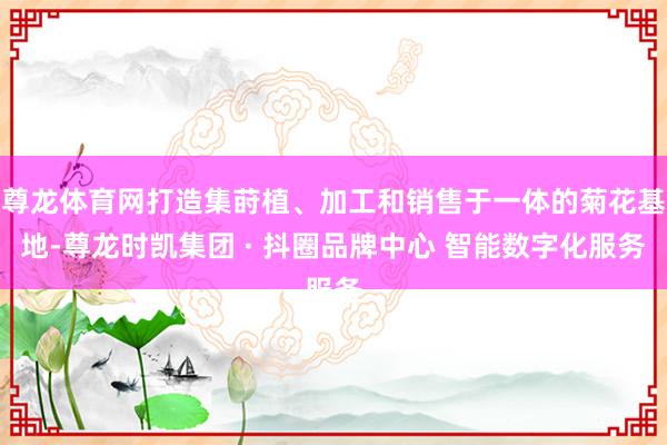 尊龙体育网打造集莳植、加工和销售于一体的菊花基地-尊龙时凯集