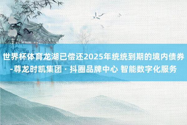 世界杯体育龙湖已偿还2025年统统到期的境内债券-尊龙时凯集团 · 抖圈品牌中心 智能数字化服务