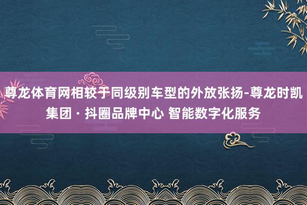 尊龙体育网相较于同级别车型的外放张扬-尊龙时凯集团 · 抖圈品牌中心 智能数字化服务