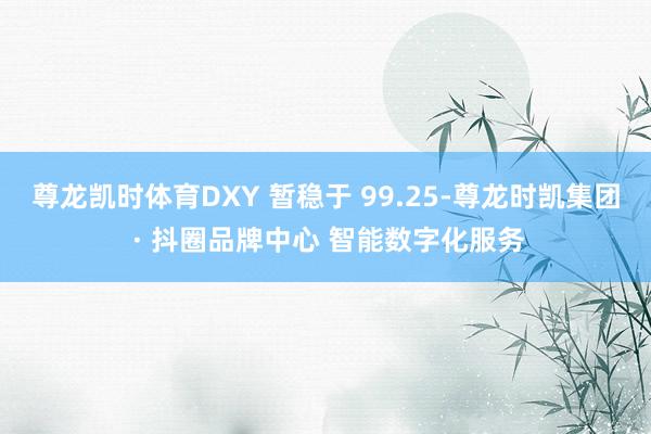 尊龙凯时体育DXY 暂稳于 99.25-尊龙时凯集团 · 抖圈品牌中心 智能数字化服务