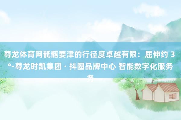 尊龙体育网骶髂要津的行径度卓越有限：屈伸约 3 °-尊龙时凯