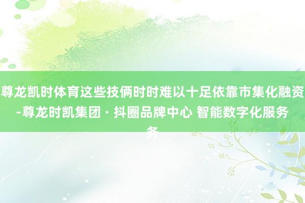尊龙凯时体育这些技俩时时难以十足依靠市集化融资-尊龙时凯集团 · 抖圈品牌中心 智能数字化服务