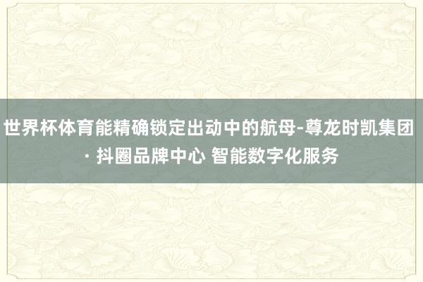 世界杯体育能精确锁定出动中的航母-尊龙时凯集团 · 抖圈品牌中心 智能数字化服务