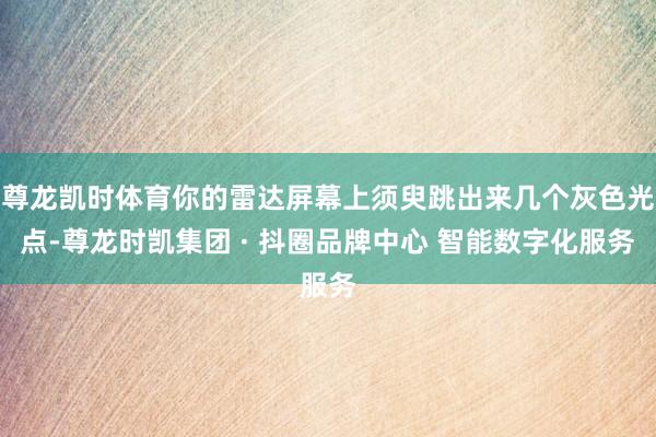 尊龙凯时体育你的雷达屏幕上须臾跳出来几个灰色光点-尊龙时凯集团 · 抖圈品牌中心 智能数字化服务