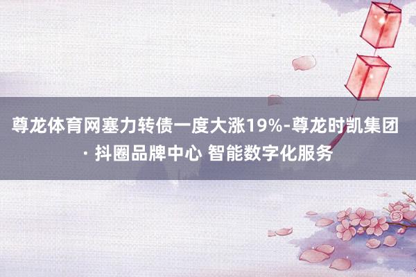 尊龙体育网塞力转债一度大涨19%-尊龙时凯集团 · 抖圈品牌中心 智能数字化服务