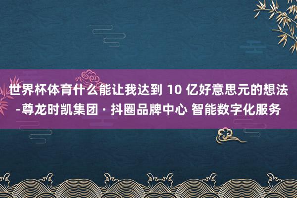 世界杯体育什么能让我达到 10 亿好意思元的想法-尊龙时凯集