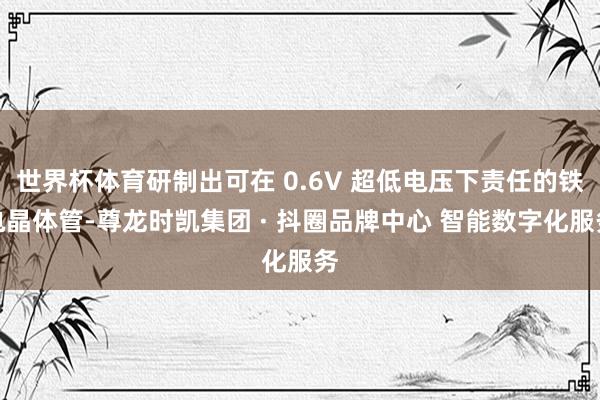 世界杯体育研制出可在 0.6V 超低电压下责任的铁电晶体管-尊龙时凯集团 · 抖圈品牌中心 智能数字化服务