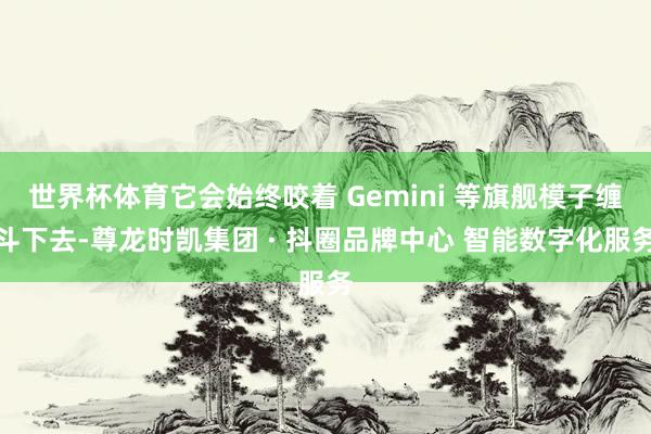 世界杯体育它会始终咬着 Gemini 等旗舰模子缠斗下去-尊
